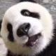 王二