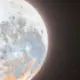 bu