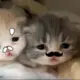 hhh