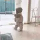 @saber的头像-投影工坊