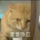 lirnzedashuaibi的头像-方舟游戏