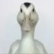 LI3314487565的头像-投影工坊