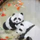 xiaowei123