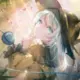 q55336的头像-天机阁