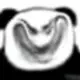 hmthyf