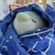 Follower2233的头像-投影工坊