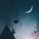 王