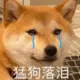 lllllllllllll的头像-投影工坊