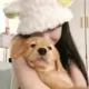 华