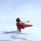 腻