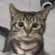 芜湖