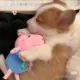 后会有期