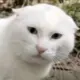 E2e6d815ed719ded1