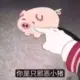 valder的头像-投影工坊