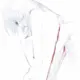 pangyunong