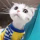 我