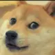 1212313nnn的头像-投影工坊