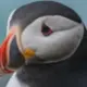 268021351