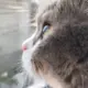 123123