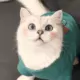 mrftlg