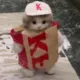 dongdonga的头像-天机阁