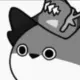 Dsing