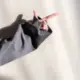 oowr