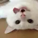 yijian