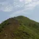 txdg