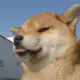 李狗蛋