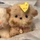 wenzhiqing