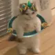 rwadsa