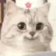 哈哈哈