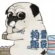 qtianyu520的头像-天机阁