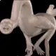 cghjghfgudtuy的头像-投影工坊