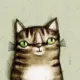 夜猫比较拉风