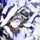 c2286743511