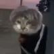 流浪在雪国