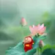 慢LLL的头像-投影工坊