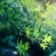 天虚灬的头像-天机阁