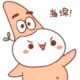 emmmid的头像-投影工坊