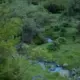zhiziii的头像-投影工坊