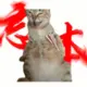 qqqqqaaaaa的头像-投影工坊