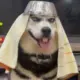 enkenoi