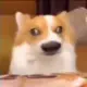 匿名