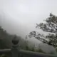 樱花34的头像-投影工坊