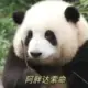 囧人史密斯的头像-天机阁