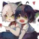 HDD