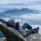 E66388053e884666b