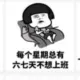 hhyyzjd的头像-投影工坊